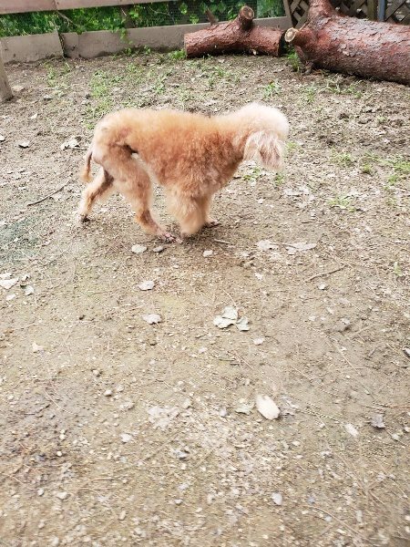 f:id:roukenhome-ann:20191017191141j:plain