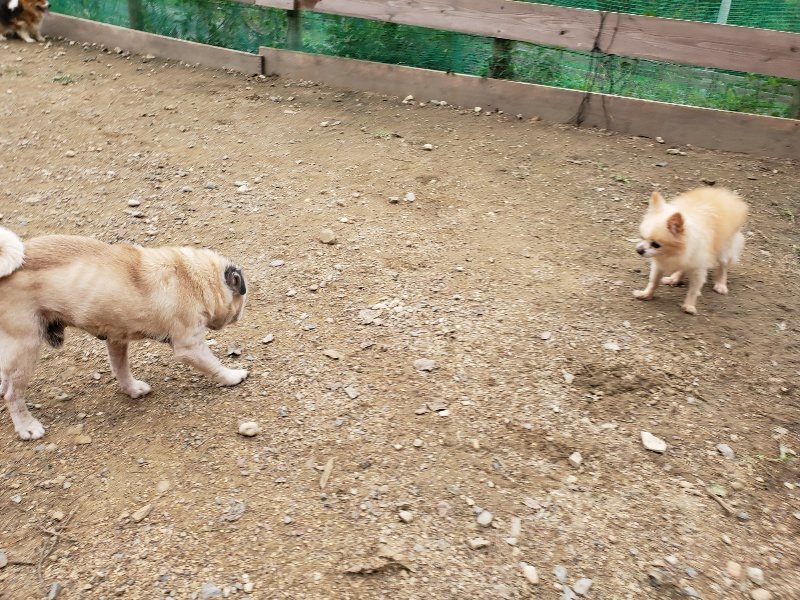f:id:roukenhome-ann:20191017191303j:plain