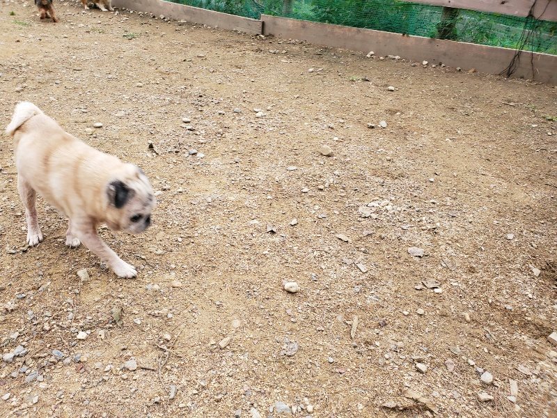 f:id:roukenhome-ann:20191017191408j:plain