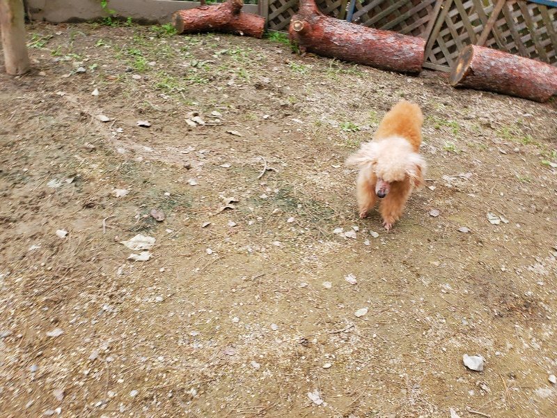 f:id:roukenhome-ann:20191017191640j:plain