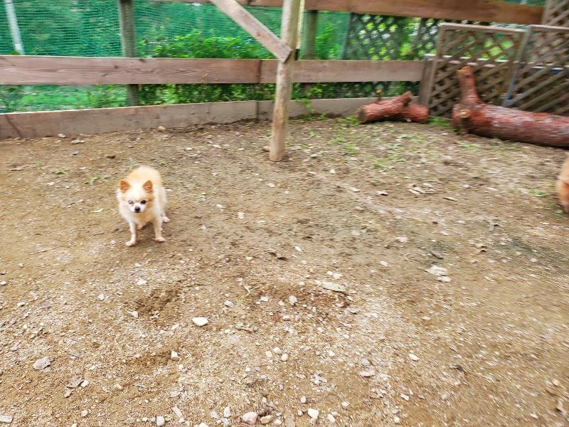 f:id:roukenhome-ann:20191017191659j:plain