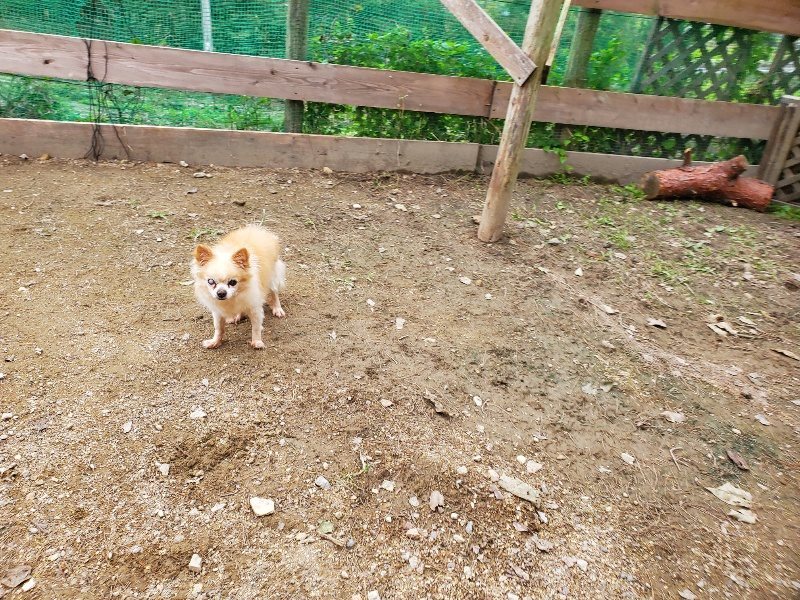 f:id:roukenhome-ann:20191017191711j:plain