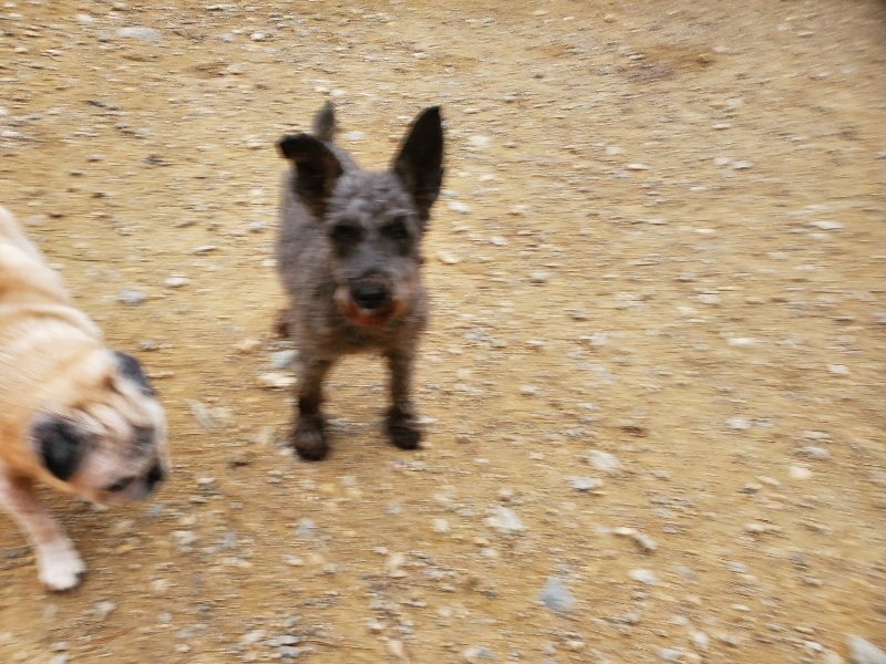 f:id:roukenhome-ann:20191017191757j:plain
