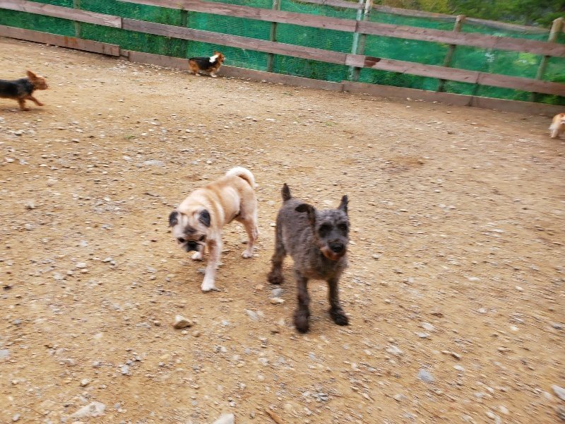 f:id:roukenhome-ann:20191017191805j:plain