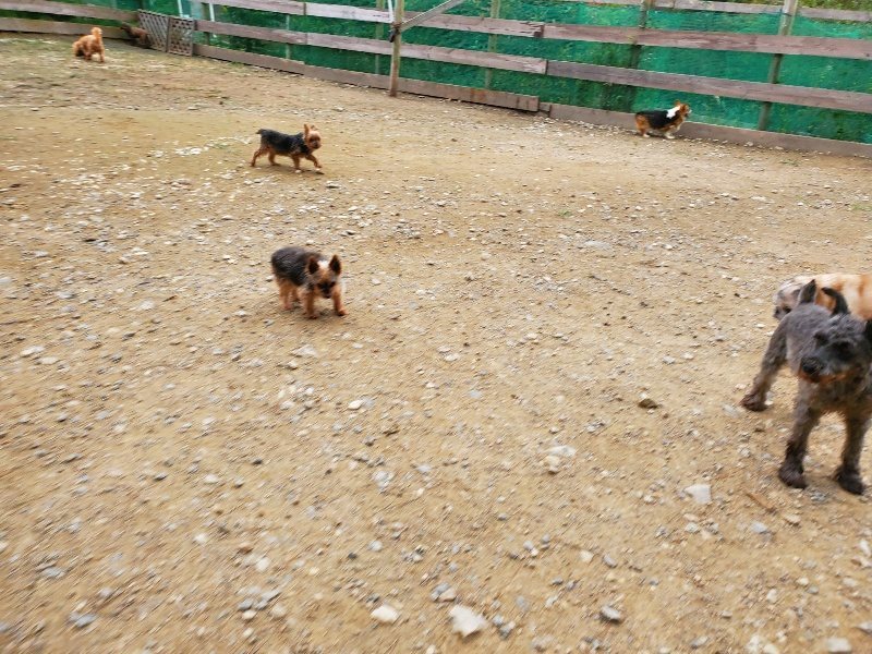f:id:roukenhome-ann:20191017191811j:plain
