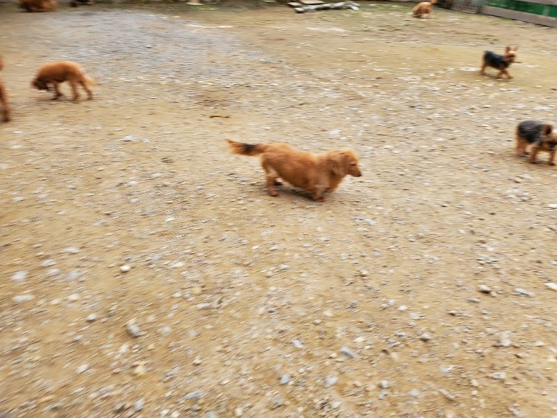 f:id:roukenhome-ann:20191017191829j:plain