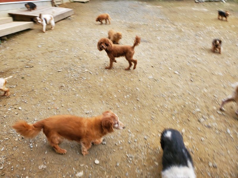 f:id:roukenhome-ann:20191017191843j:plain