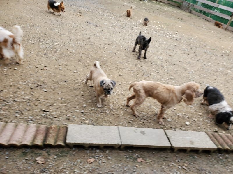 f:id:roukenhome-ann:20191017192259j:plain