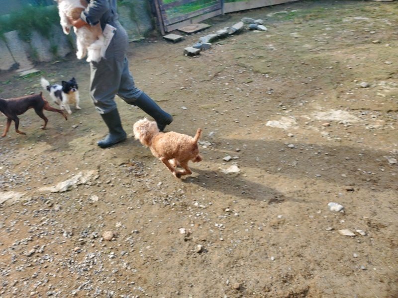 f:id:roukenhome-ann:20191017192306j:plain