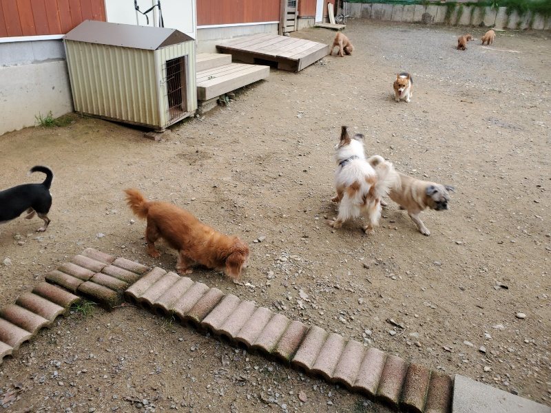 f:id:roukenhome-ann:20191017192313j:plain