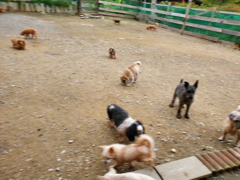 f:id:roukenhome-ann:20191017192332j:plain