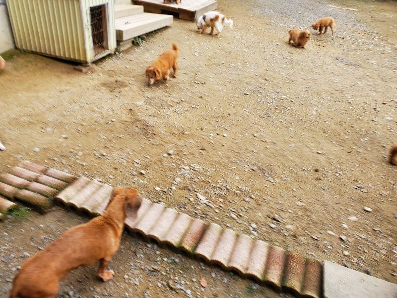 f:id:roukenhome-ann:20191017192340j:plain
