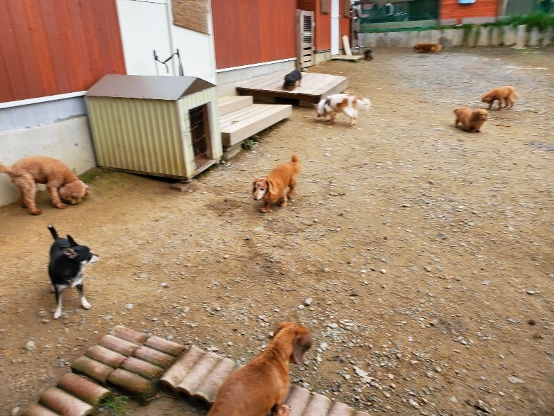 f:id:roukenhome-ann:20191017192347j:plain