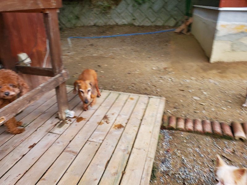 f:id:roukenhome-ann:20191017192423j:plain