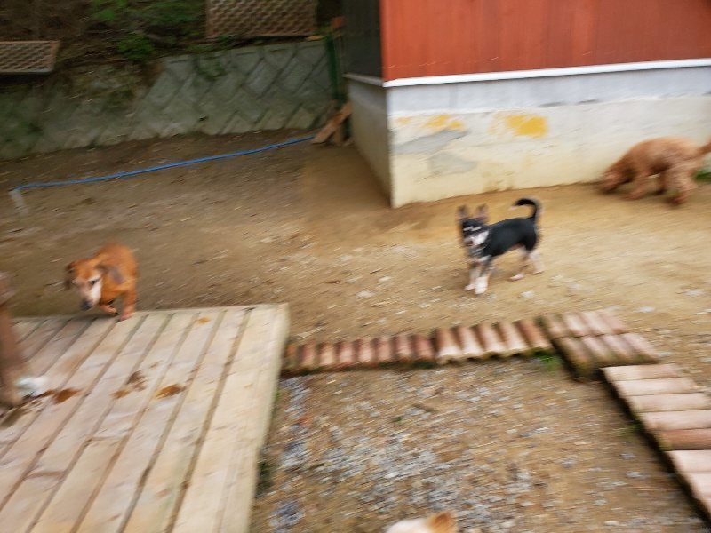 f:id:roukenhome-ann:20191017192450j:plain