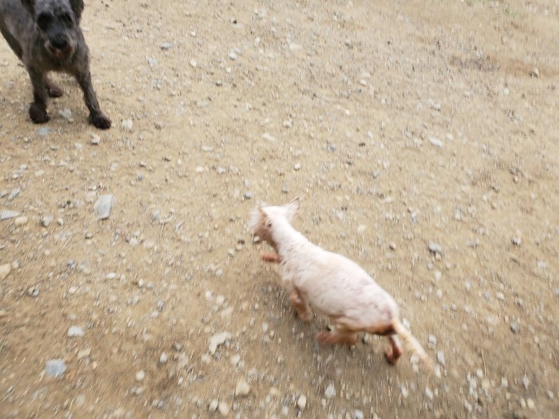 f:id:roukenhome-ann:20191017192532j:plain