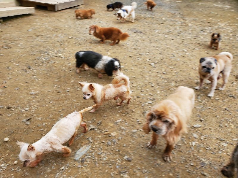 f:id:roukenhome-ann:20191017192540j:plain