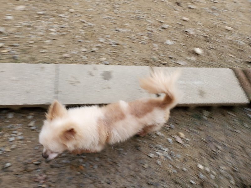f:id:roukenhome-ann:20191017192558j:plain
