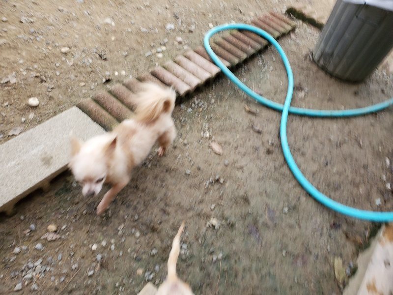 f:id:roukenhome-ann:20191017192607j:plain