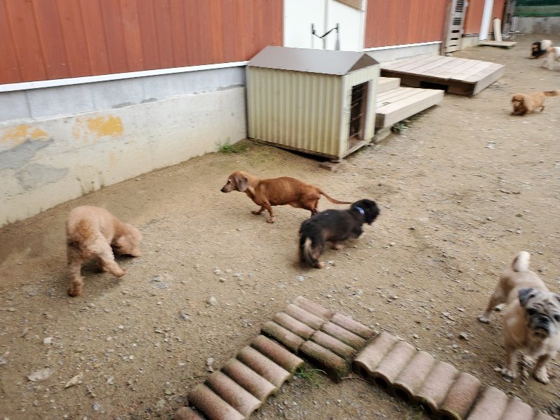 f:id:roukenhome-ann:20191017192633j:plain
