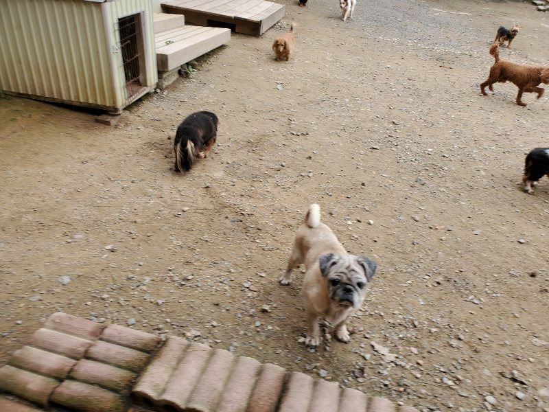 f:id:roukenhome-ann:20191017192644j:plain