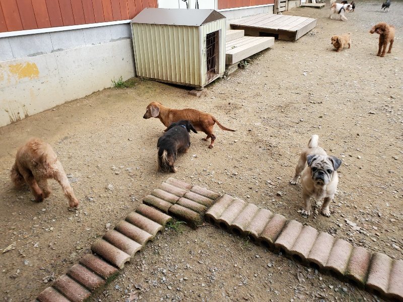 f:id:roukenhome-ann:20191017192722j:plain