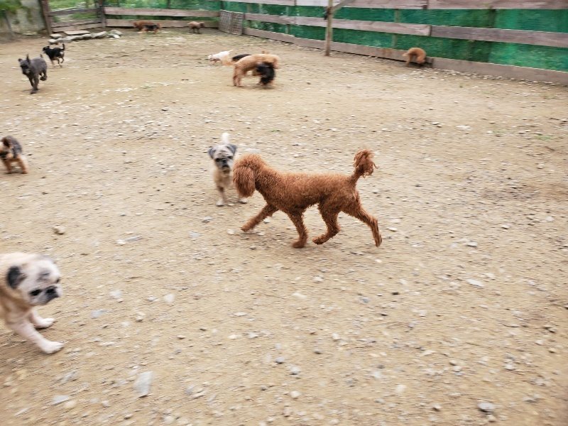 f:id:roukenhome-ann:20191017192758j:plain
