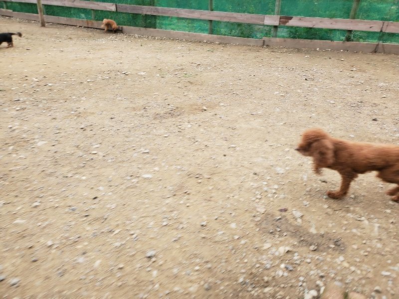 f:id:roukenhome-ann:20191017192902j:plain