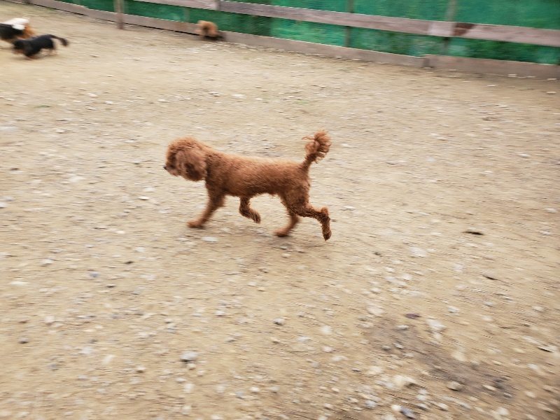 f:id:roukenhome-ann:20191017192913j:plain