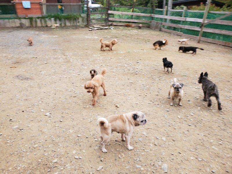 f:id:roukenhome-ann:20191017192958j:plain
