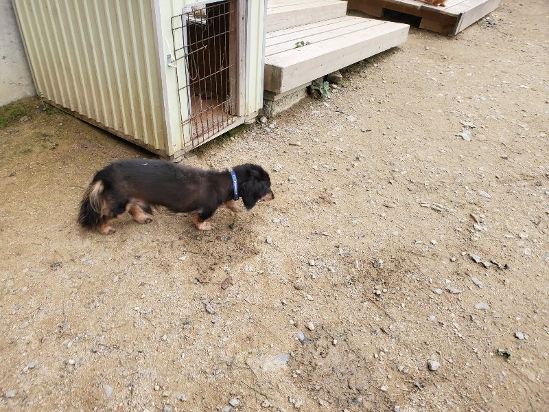 f:id:roukenhome-ann:20191017193041j:plain
