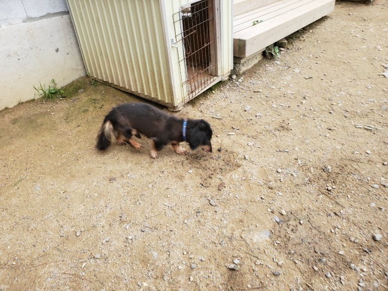 f:id:roukenhome-ann:20191017193132j:plain