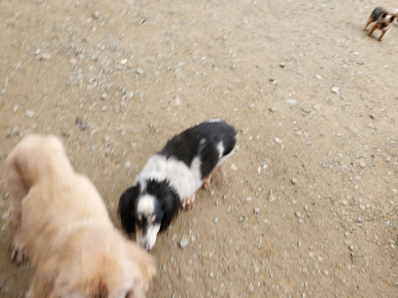 f:id:roukenhome-ann:20191017193205j:plain