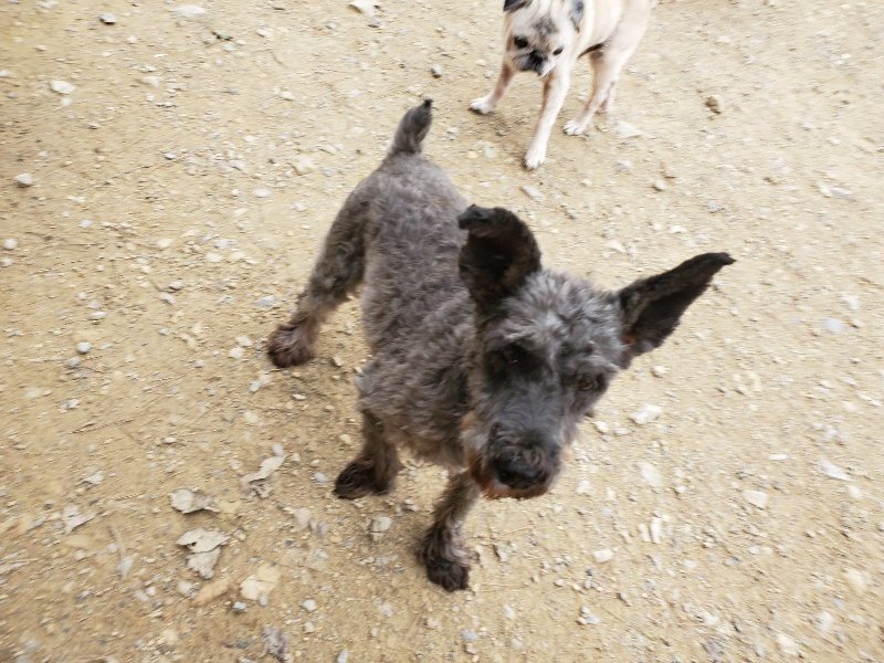 f:id:roukenhome-ann:20191017193406j:plain