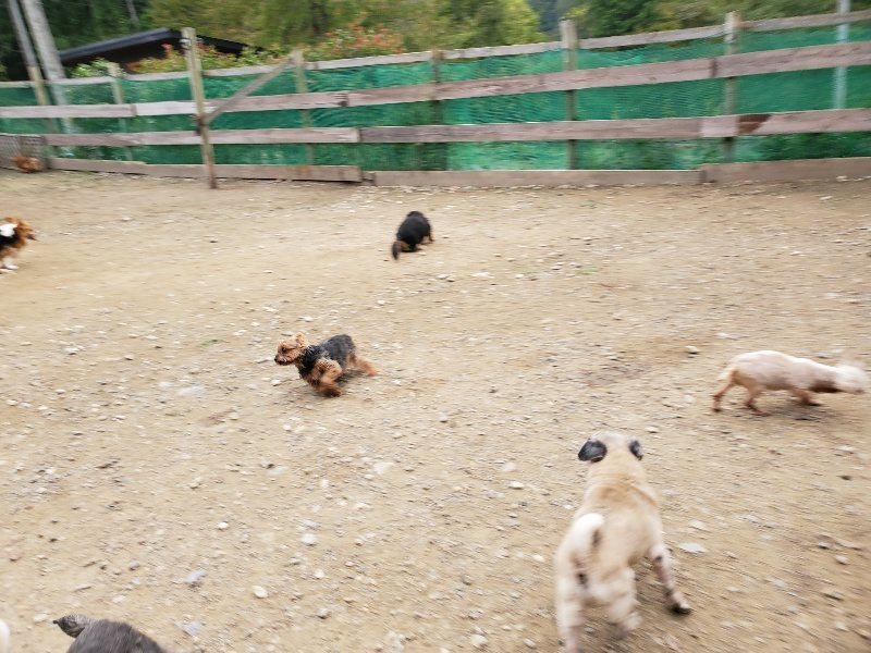 f:id:roukenhome-ann:20191017193424j:plain