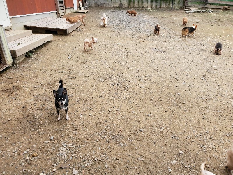 f:id:roukenhome-ann:20191017193448j:plain