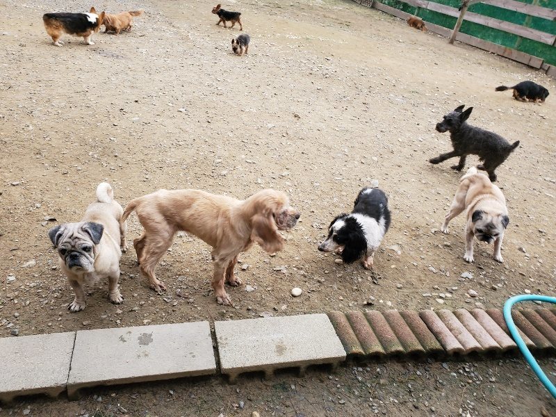 f:id:roukenhome-ann:20191017193531j:plain