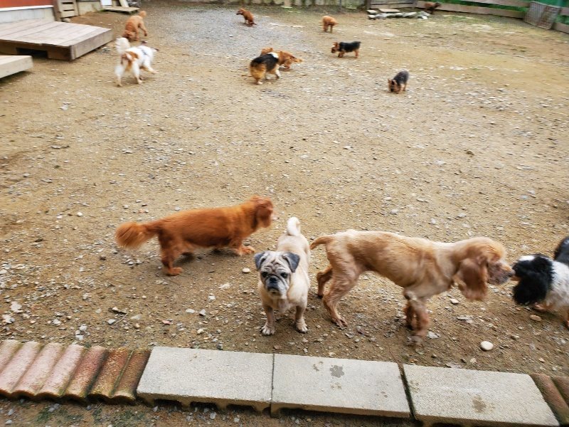 f:id:roukenhome-ann:20191017193548j:plain