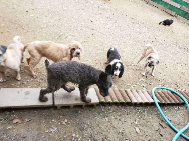f:id:roukenhome-ann:20191017193607j:plain