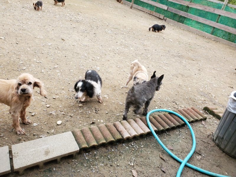 f:id:roukenhome-ann:20191017193618j:plain