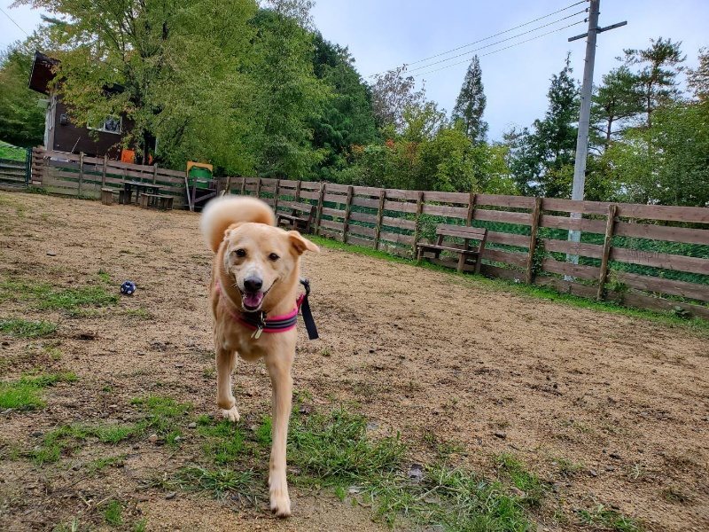 f:id:roukenhome-ann:20191019114358j:plain f:id:roukenhome-ann:20191019114358j:plain