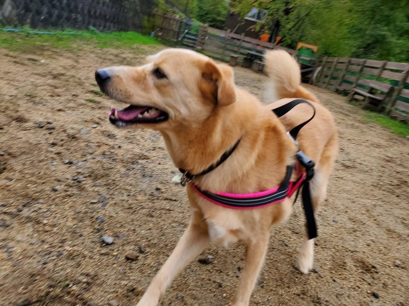 f:id:roukenhome-ann:20191019114405j:plain f:id:roukenhome-ann:20191019114405j:plain