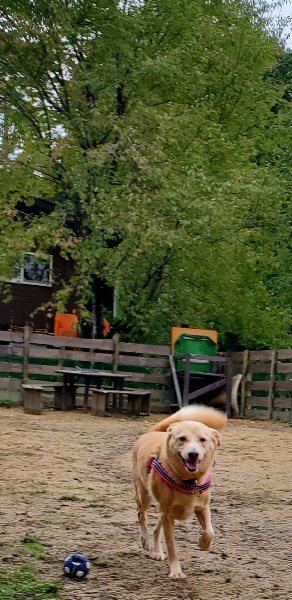 f:id:roukenhome-ann:20191019114420j:plain f:id:roukenhome-ann:20191019114420j:plain