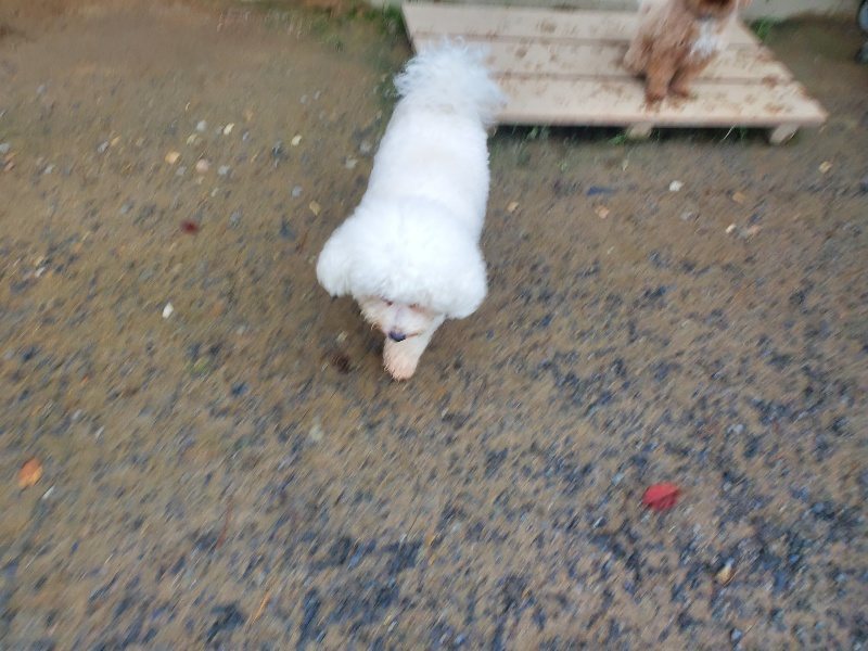 f:id:roukenhome-ann:20191019123434j:plain