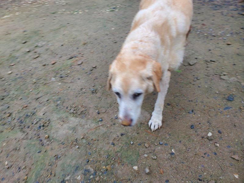 f:id:roukenhome-ann:20191019123504j:plain