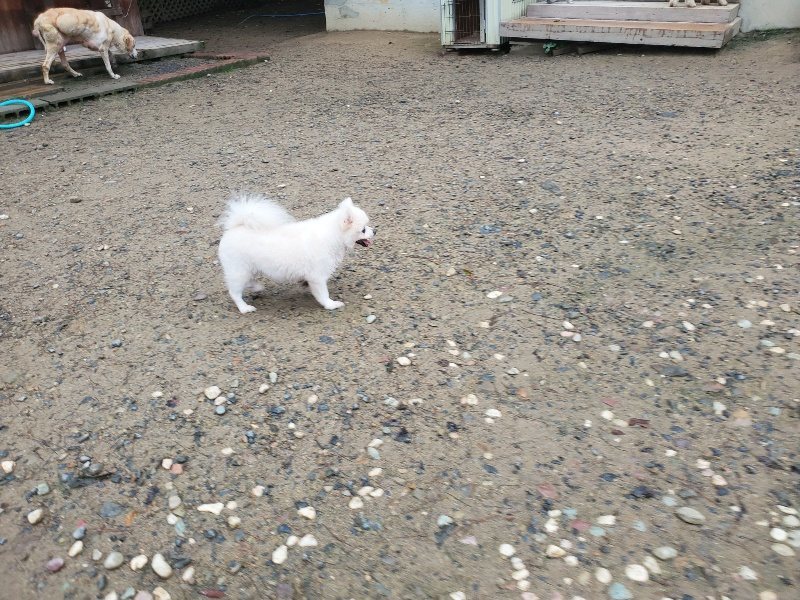 f:id:roukenhome-ann:20191019123540j:plain
