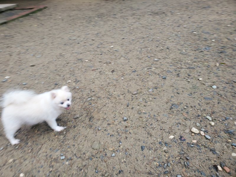 f:id:roukenhome-ann:20191019123608j:plain