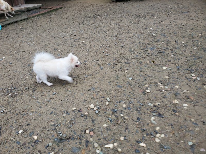 f:id:roukenhome-ann:20191019123705j:plain