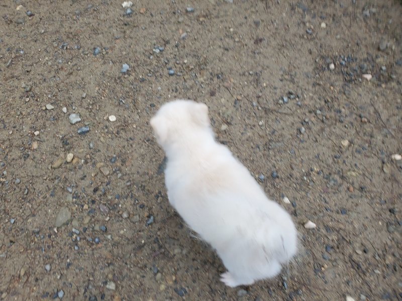 f:id:roukenhome-ann:20191019123726j:plain