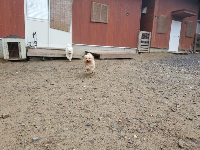 f:id:roukenhome-ann:20191019123815j:plain
